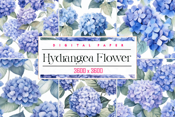 Blooming Hydrangea Flower: A Versatile Element for Digital Design