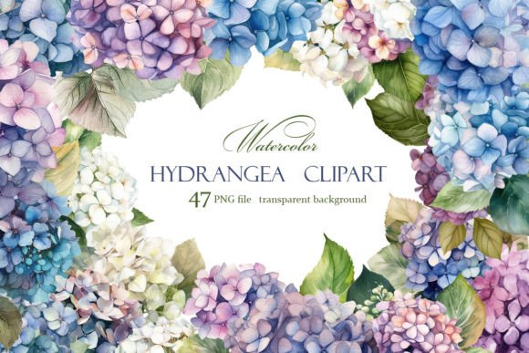Hydrangea Blue Watercolor Clipart