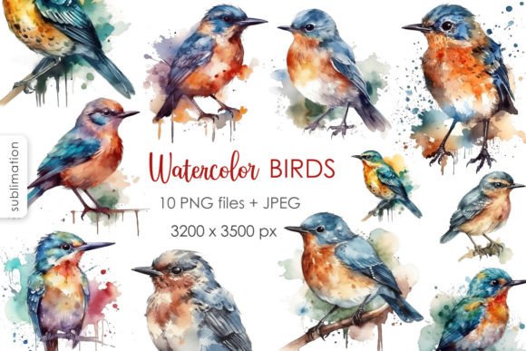 Watercolor Birds PNG Clipart Collection